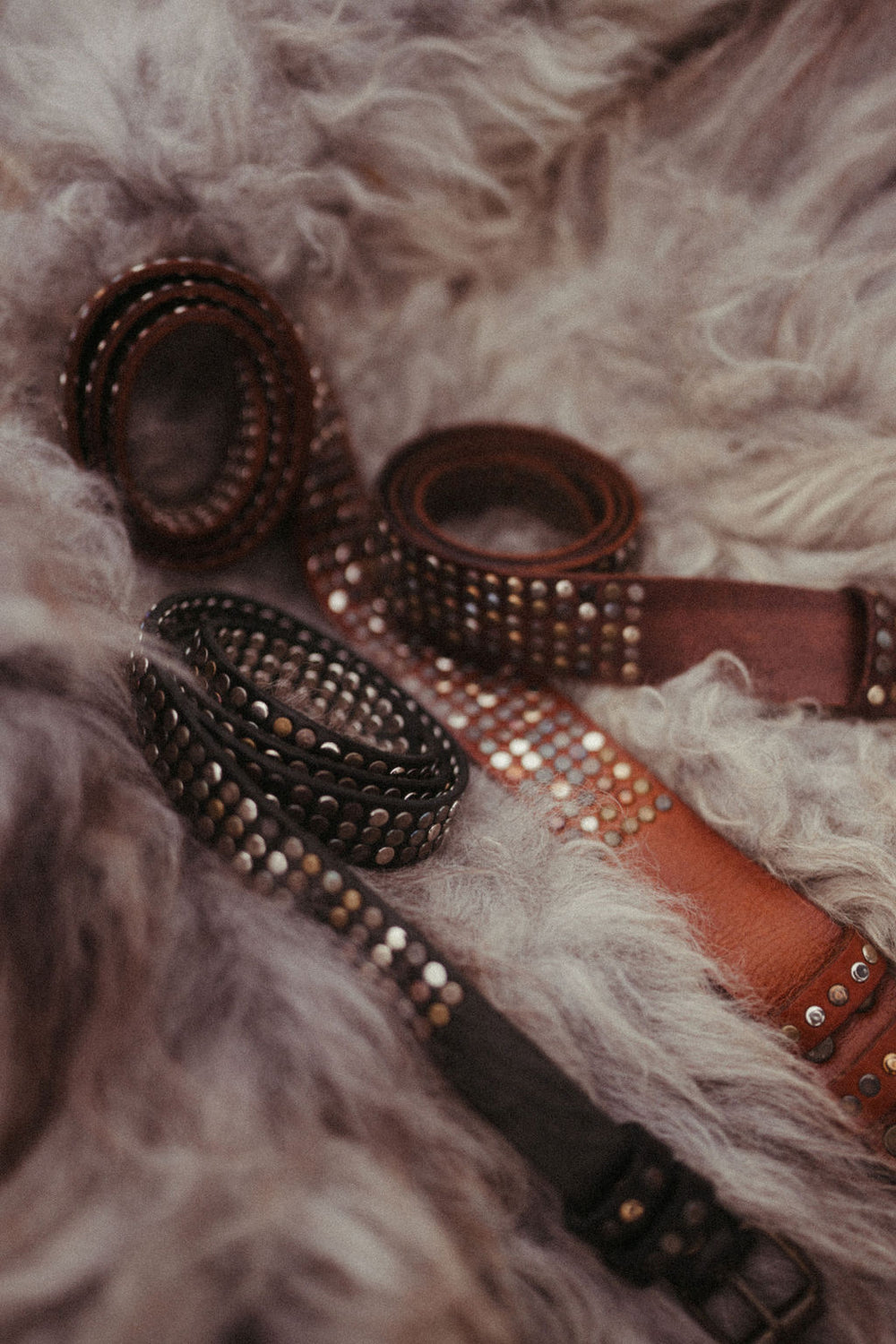 The Phoenix Studded Belt - two colours available