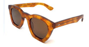 CUT SIXTY-FOUR HAVANA TORT / BROWN