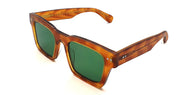 CUT SIXTY-TWO HAVANA / DARK GREEN